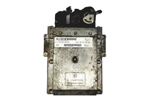 Controller 9665066380 9661256980 PSA Visteon main product photo