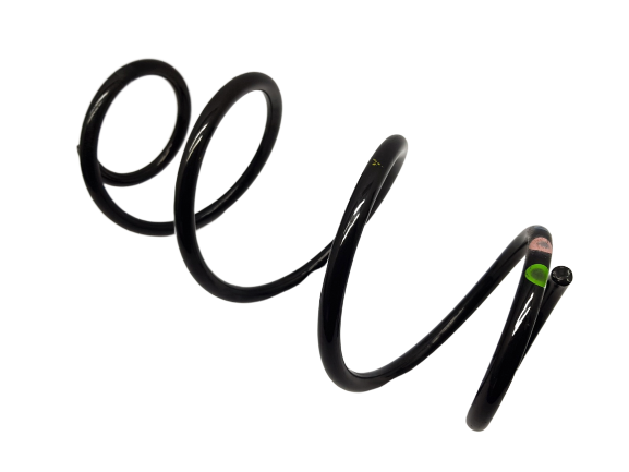 Suspension Spring Rear Lodgy 550207521R Dacia 5956 main product photo