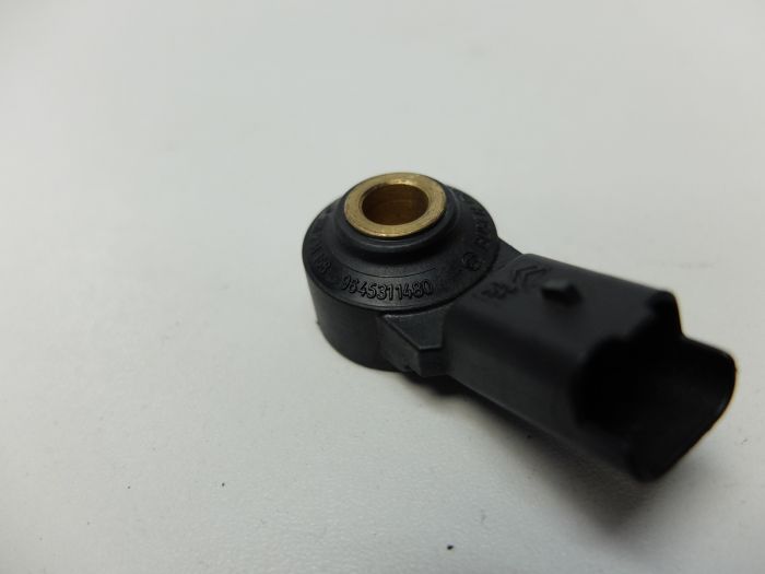 Bañera alegría Noroeste knock sensor peugeot 308 Opaco botón Geología