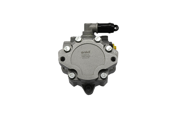 Power Steering Pump For VW T4 7D0422155 44220104801 Vika