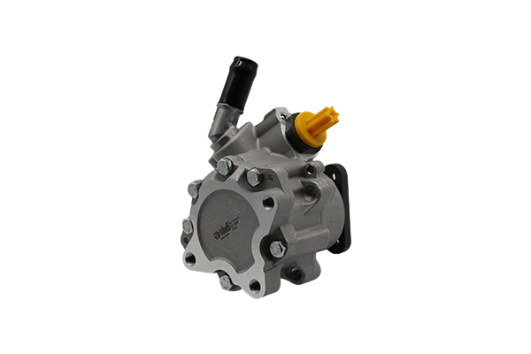 Power Steering Pump Audi A8 4E0145156B 11451814301 Vika
