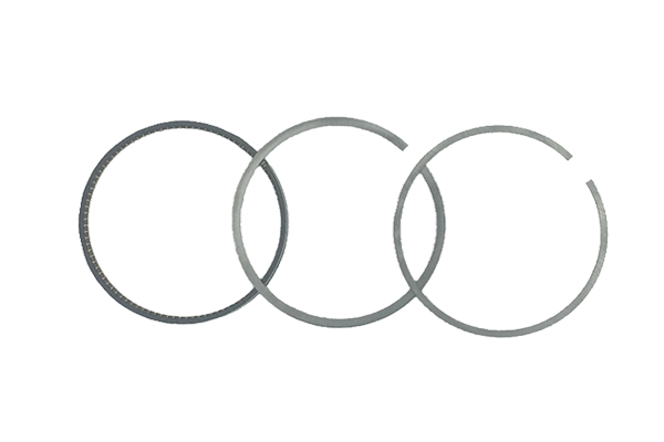 Piston Rings For VW Audi Seat Skoda 06H198151C B19046 Borsehung